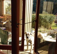 Mara Ponds Branxholm - Yarra Valley Accommodation