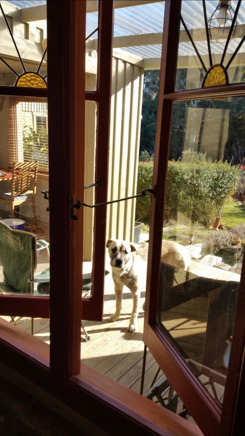 Mara Ponds Branxholm - Yarra Valley Accommodation 0