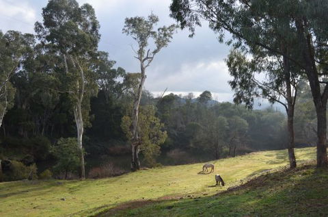 Nug Nug Wah Homestead - Yarra Valley Accommodation 2