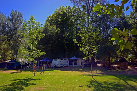 Ardern's Caravan Park Myrtleford - Yarra Valley Accommodation 0