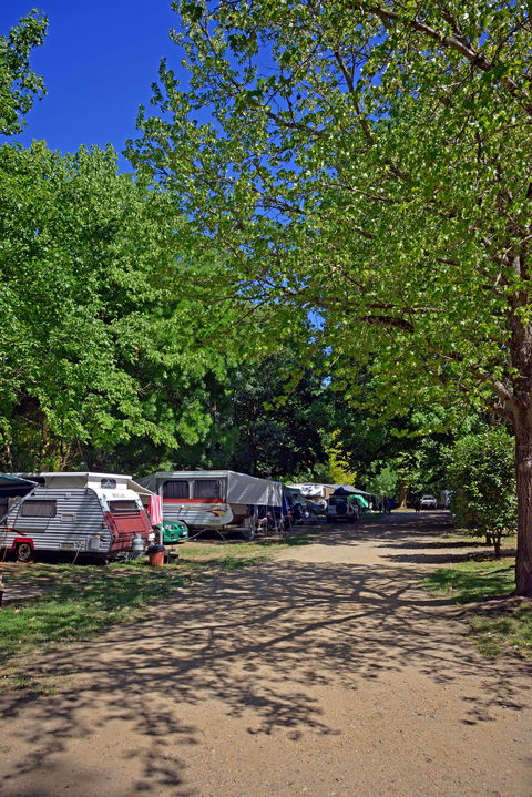 Ardern's Caravan Park Myrtleford - Yarra Valley Accommodation 1