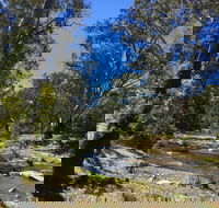 Highfield Farm and Woodland Bush Campsites - Yarra Valley Accommodation