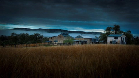 Roseneath  Farm Stay - Yarra Valley Accommodation 3