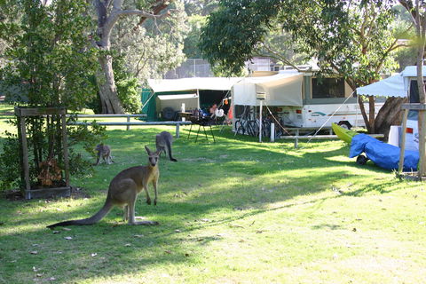 Lakesea Park - Yarra Valley Accommodation 5