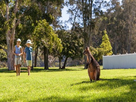 The Basin Campground - Yarra Valley Accommodation 4