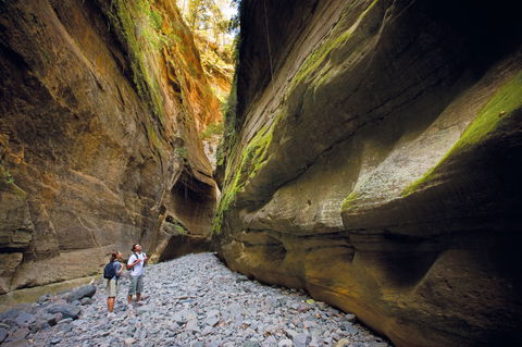 Carnarvon National Park Camping - Yarra Valley Accommodation 0