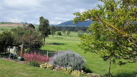 Cheviot Glen Cottages - Yarra Valley Accommodation 2
