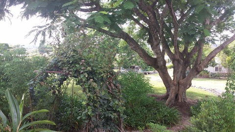 Rosehill Apartments - Yarra Valley Accommodation 2