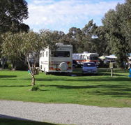 Pinjarra Caravan Park - Yarra Valley Accommodation