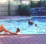Shark Bay Caravan Park - Yarra Valley Accommodation