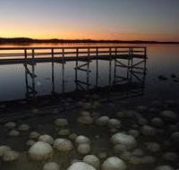 Lake Clifton Caravan Park - Yarra Valley Accommodation