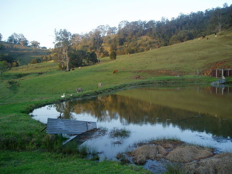 Barkeldine Farm Country Retreat - Yarra Valley Accommodation 0