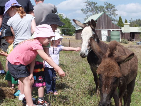 Barkeldine Farm Country Retreat - Yarra Valley Accommodation 2