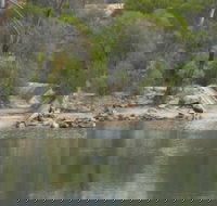 Boondi Rock Camp at Goldfields Woodlands National Park - Yarra Valley Accommodation
