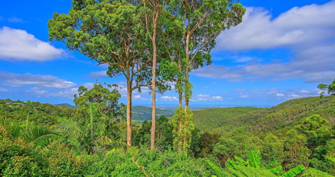 Cloud 9 Cliff Top Eagle Heights - Yarra Valley Accommodation 1