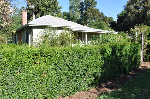 Honeysuckle Cottage - Yarra Valley Accommodation 1