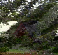 Turkeys Nest Rainforest Cottages Mt Glorious - Yarra Valley Accommodation