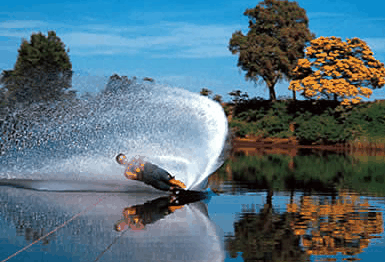 Buckenderra Holiday Village - Yarra Valley Accommodation