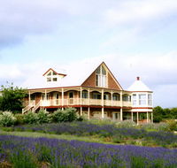 Serendipity Lavender Farm - Yarra Valley Accommodation