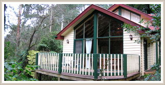 Cambridge Cottages - Yarra Valley Accommodation 2