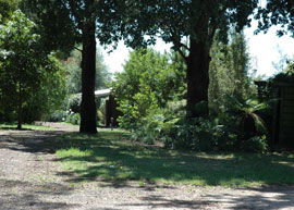 Bloomfield Cottages - Yarra Valley Accommodation 2