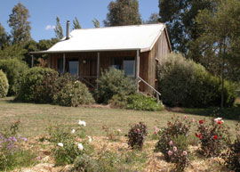 Bloomfield Cottages - Yarra Valley Accommodation 3
