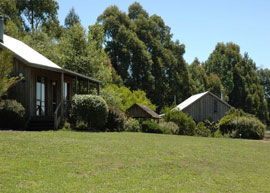 Bloomfield Cottages - Yarra Valley Accommodation 4