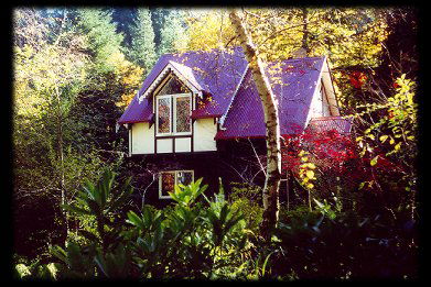 Forest Glade Olinda - Yarra Valley Accommodation 0