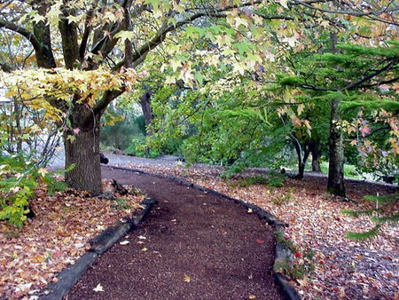 Brigadoon Cottages - Yarra Valley Accommodation 3