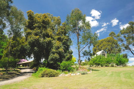 Brigadoon Cottages - Yarra Valley Accommodation 5
