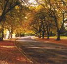 La Trobe at Beechworth