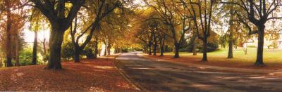 La Trobe At Beechworth - Yarra Valley Accommodation 0