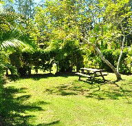 Wooli Caravan Park - Yarra Valley Accommodation