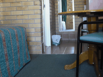 Dragon  Phoenix Motel - Yarra Valley Accommodation
