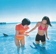 Kookaburra Air - Yarra Valley Accommodation