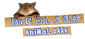 Birdland Animal Park - Yarra Valley Accommodation