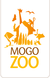 Mogo NSW Yarra Valley Accommodation