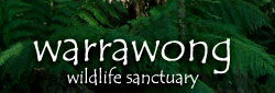 Warrawong Wildlife Park - Yarra Valley Accommodation 0