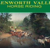 Glenworth Valley Horseriding - Yarra Valley Accommodation