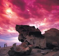 Kangaroo Island Adventure Tour 2 day/1 night - Yarra Valley Accommodation