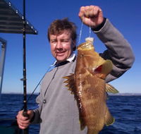 Downunder Charters - Yarra Valley Accommodation