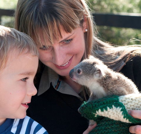 Australian Reptile Park - Yarra Valley Accommodation 1