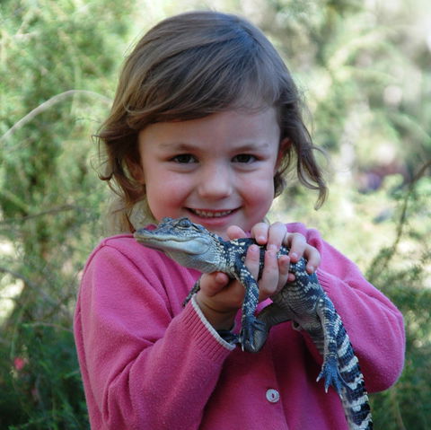 Australian Reptile Park - Yarra Valley Accommodation 2