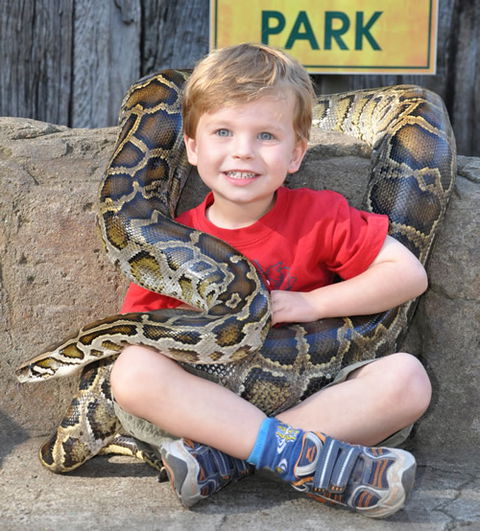Australian Reptile Park - Yarra Valley Accommodation 3