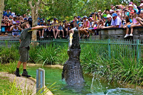 Australian Reptile Park - Yarra Valley Accommodation 4