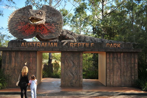 Australian Reptile Park - Yarra Valley Accommodation 5