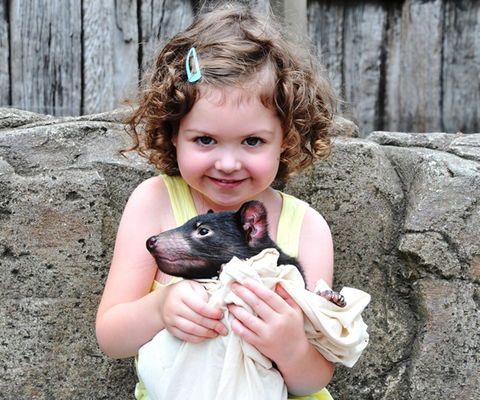 Australian Reptile Park - Yarra Valley Accommodation 8