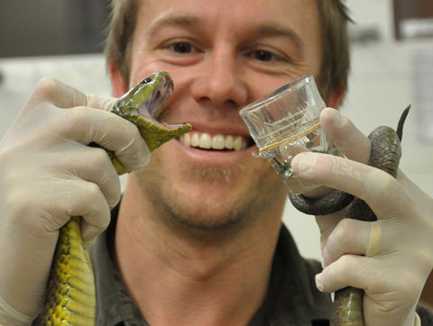 Australian Reptile Park - Yarra Valley Accommodation 9