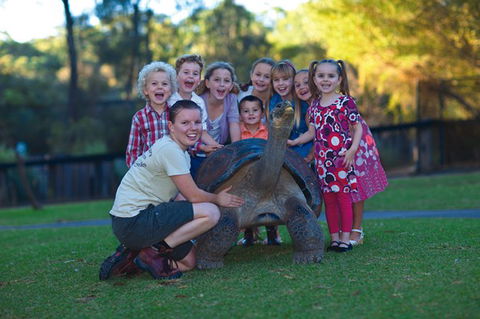 Australian Reptile Park - Yarra Valley Accommodation 11