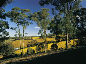 Lobethal Archives And Historical Museum - Yarra Valley Accommodation 0